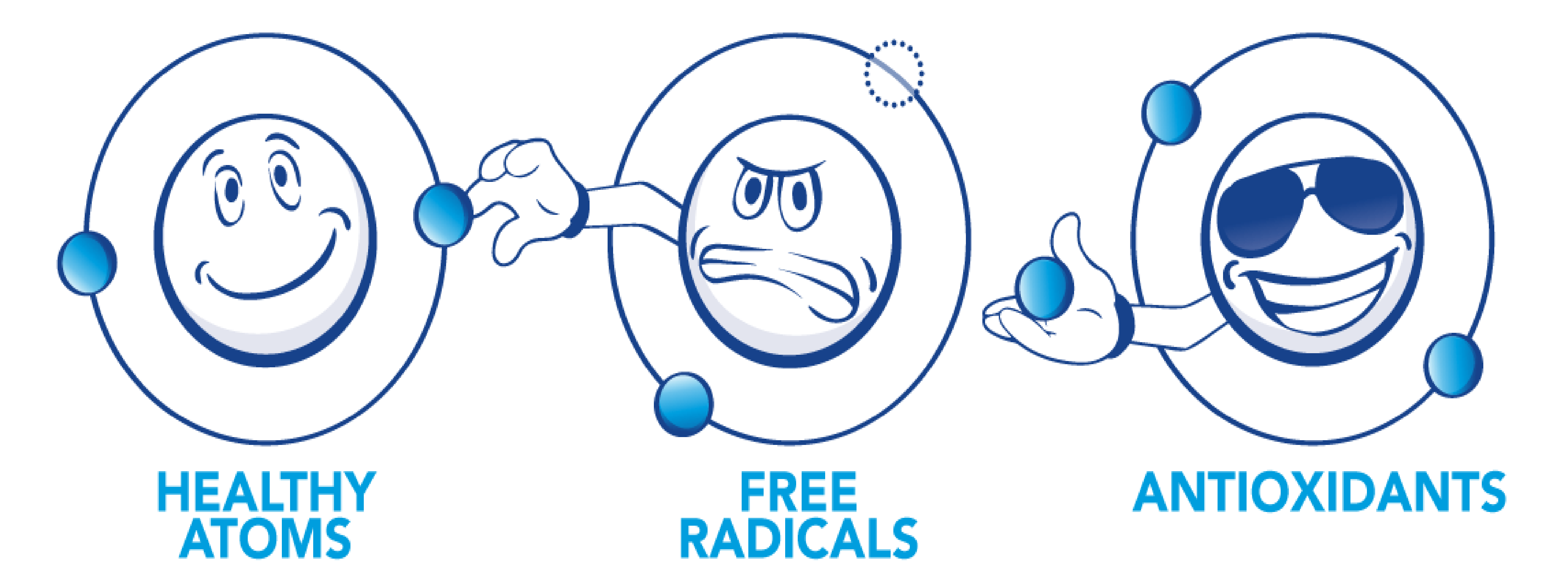 What exactly are Free Radicals and Antioxidants? Field of Fitness Ltd